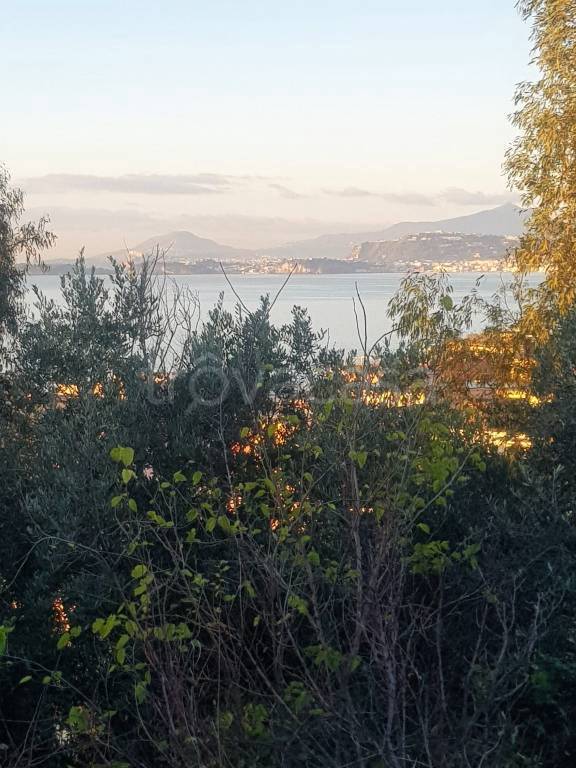 terreno agricolo in vendita a Pozzuoli