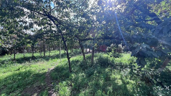 terreno in vendita a Pozzuoli in zona Monterusciello