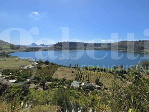 terreno agricolo in vendita a Pozzuoli