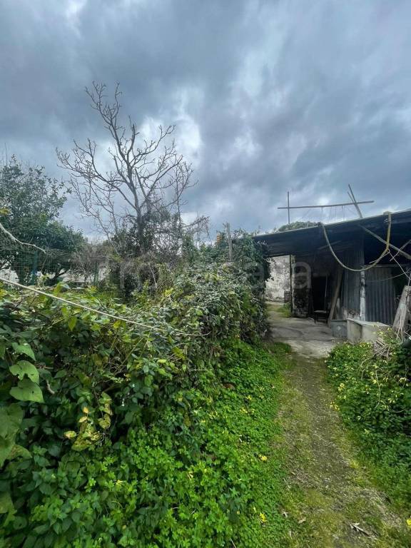 terreno agricolo in vendita a Procida