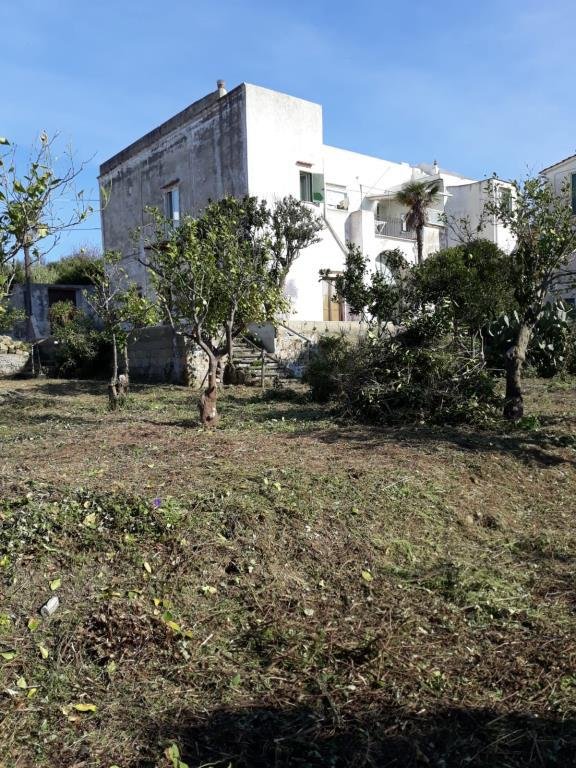 intera palazzina in vendita a Procida