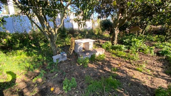 mansarda in vendita a Procida