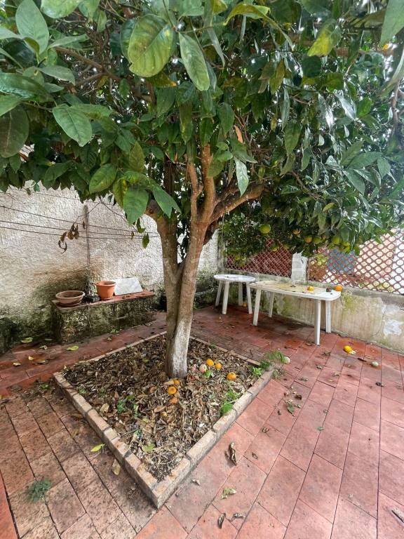 appartamento in vendita a Procida