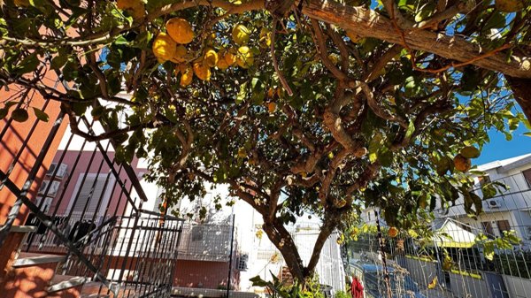 appartamento in vendita a Procida