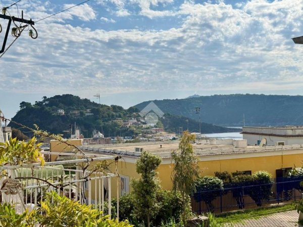 appartamento in vendita a Procida