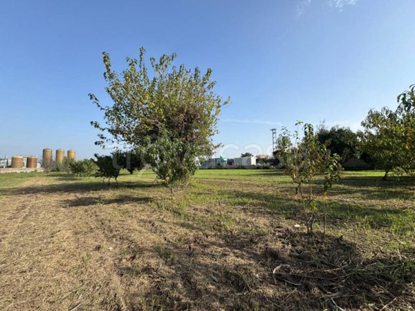 terreno agricolo in vendita a Qualiano