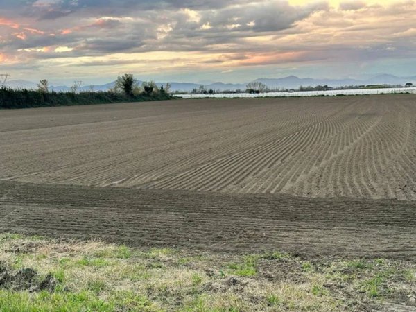terreno agricolo in vendita a Qualiano