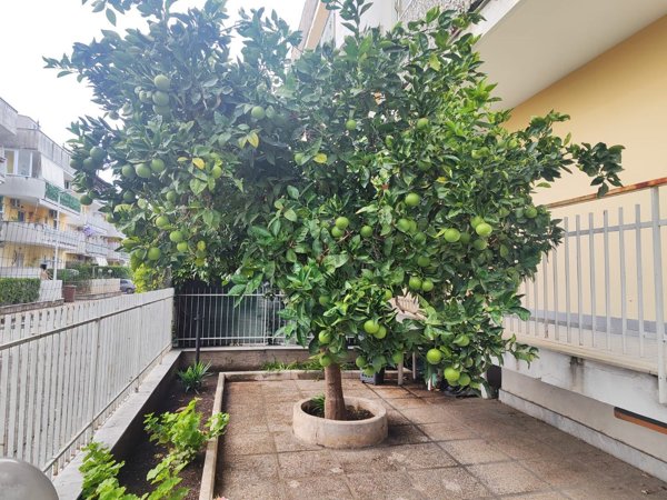 appartamento in vendita a Qualiano