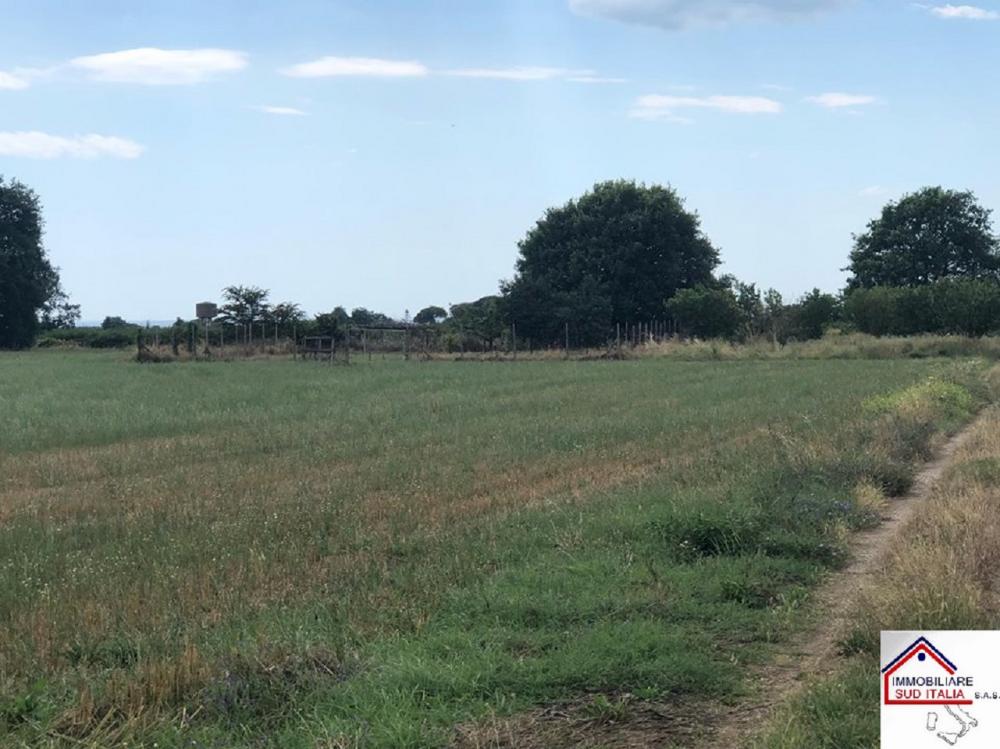 terreno agricolo in vendita a Qualiano in zona Ripuaria