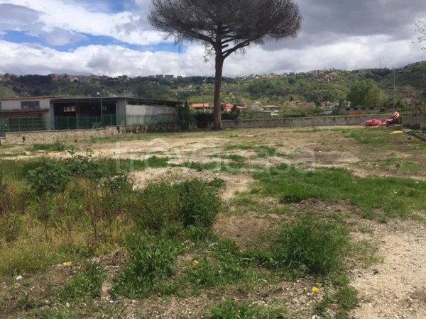 terreno agricolo in vendita a Quarto