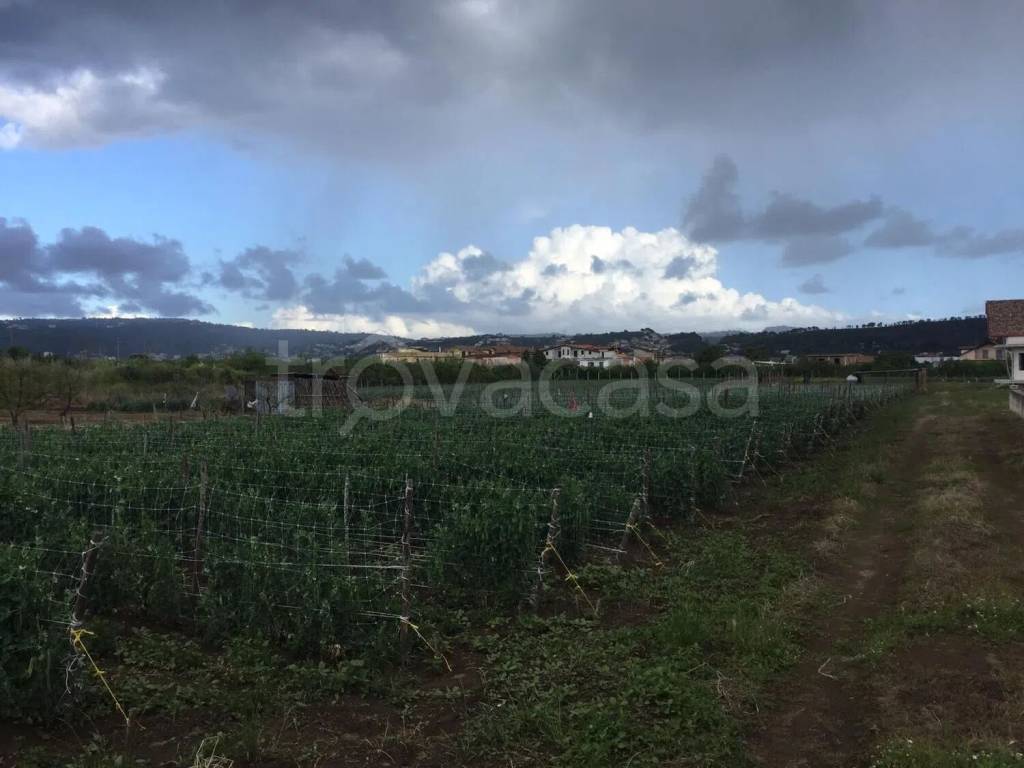 terreno agricolo in vendita a Quarto