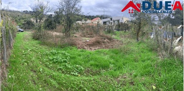 terreno agricolo in vendita a Quarto