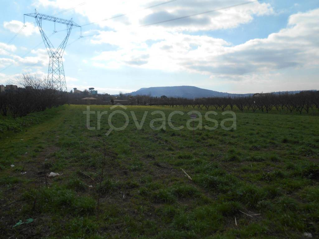 terreno agricolo in vendita a Quarto