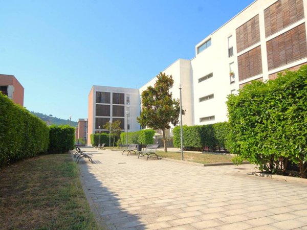 immagine annuncio 0 di 5