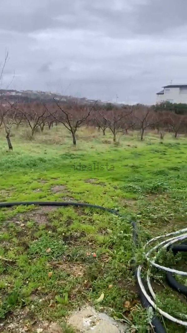 terreno agricolo in vendita a Quarto