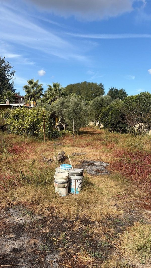 terreno agricolo in vendita a Quarto