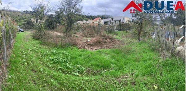 terreno agricolo in vendita a Quarto
