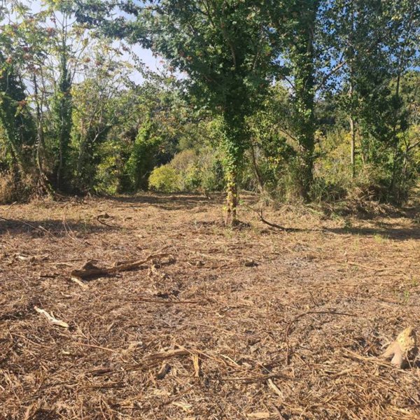 terreno agricolo in vendita ad Ercolano