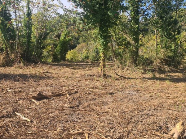 terreno agricolo in vendita ad Ercolano