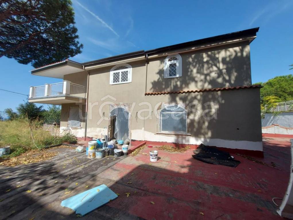 immagine annuncio 0 di 15