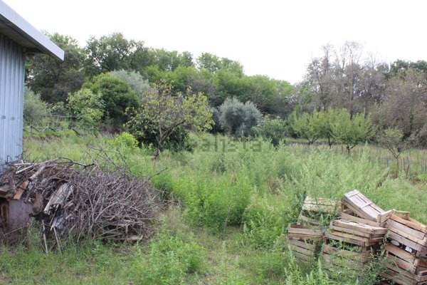 terreno agricolo in vendita ad Ercolano in zona San Vito