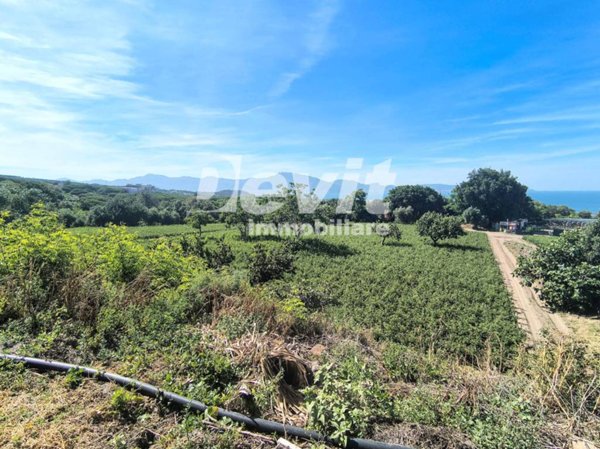 terreno agricolo in vendita ad Ercolano in zona San Vito