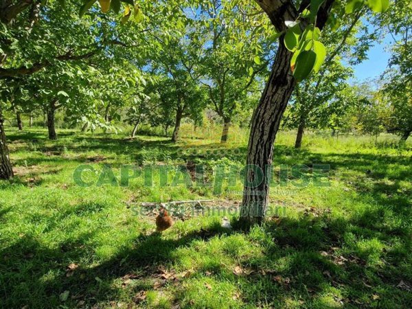 terreno agricolo in vendita a Roccarainola in zona Piazza