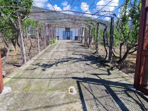 terreno agricolo in vendita a Roccarainola