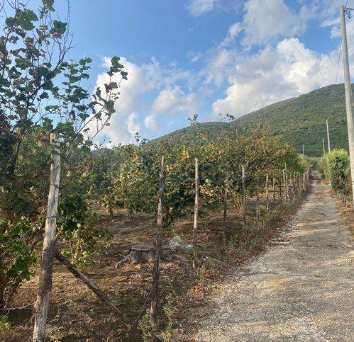 terreno agricolo in vendita a Roccarainola