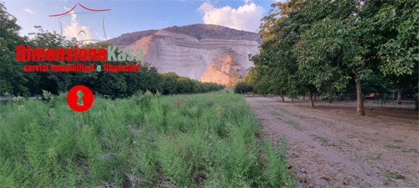 terreno agricolo in vendita a Roccarainola