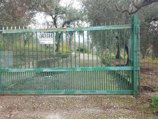 terreno agricolo in vendita a Roccarainola