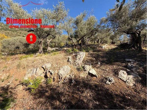 casale in vendita a Roccarainola