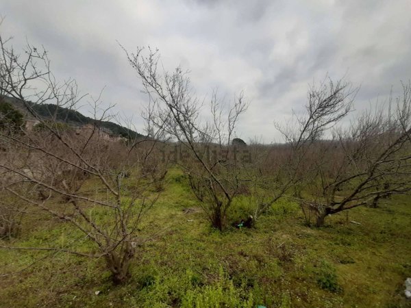 terreno edificabile in vendita a Roccarainola in zona Piazza