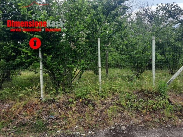 monolocale in vendita a Roccarainola