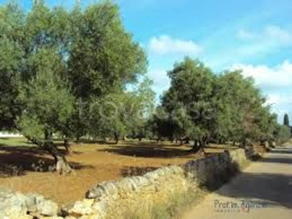 terreno agricolo in vendita a Roccarainola