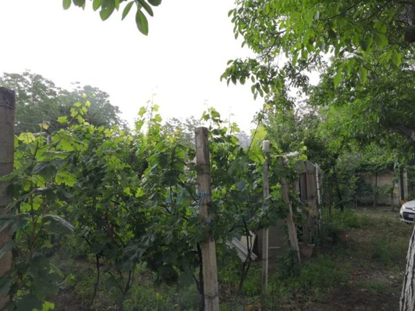terreno agricolo in vendita a Roccarainola