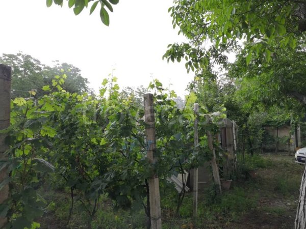 terreno agricolo in vendita a Roccarainola