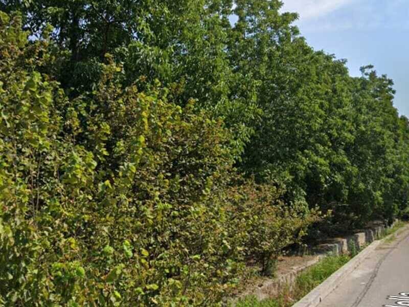 terreno edificabile in vendita a Roccarainola