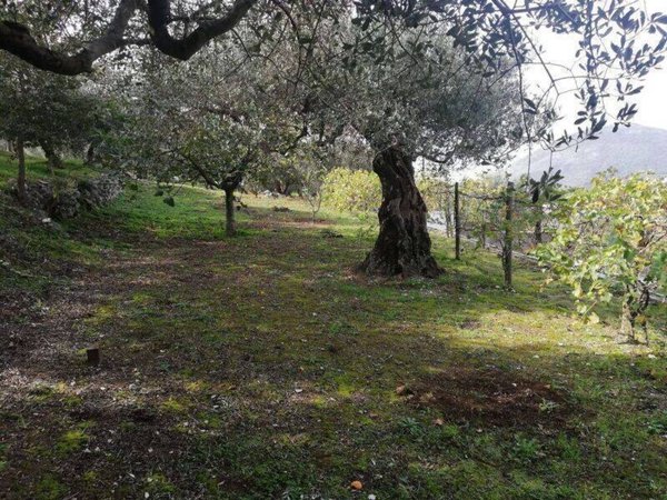 casale in vendita a Roccarainola in zona Piazza