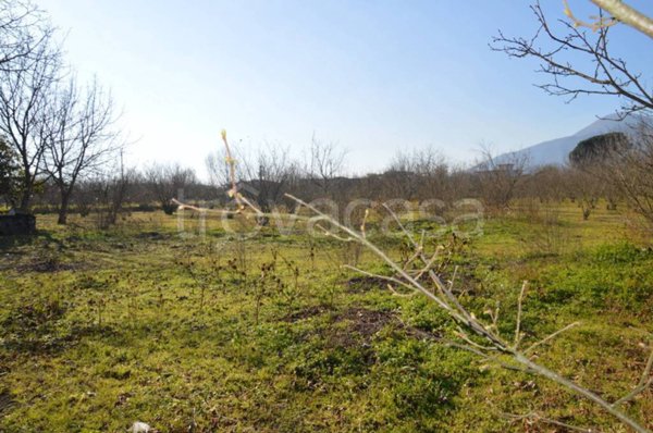 terreno agricolo in vendita a San Gennaro Vesuviano