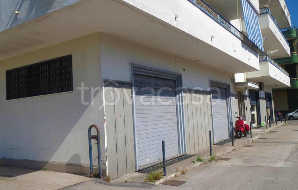 appartamento in vendita a San Gennaro Vesuviano