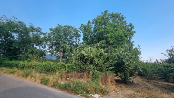 terreno agricolo in vendita a San Gennaro Vesuviano