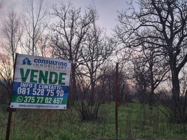 terreno agricolo in vendita a San Gennaro Vesuviano