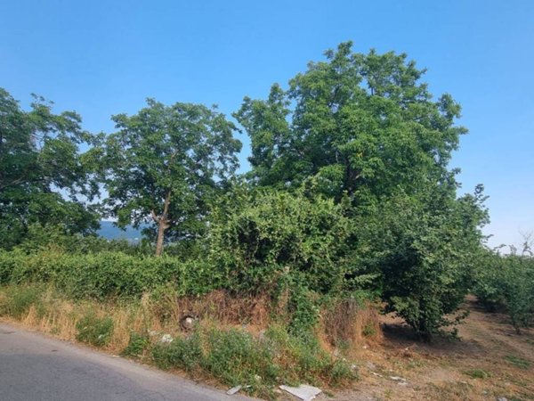 terreno agricolo in vendita a San Gennaro Vesuviano