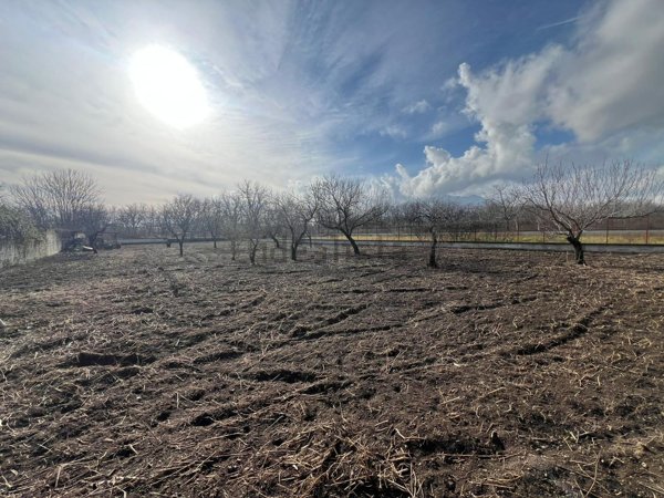 terreno agricolo in vendita a San Gennaro Vesuviano