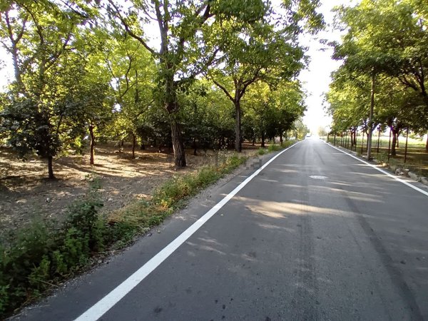 terreno agricolo in vendita a San Gennaro Vesuviano