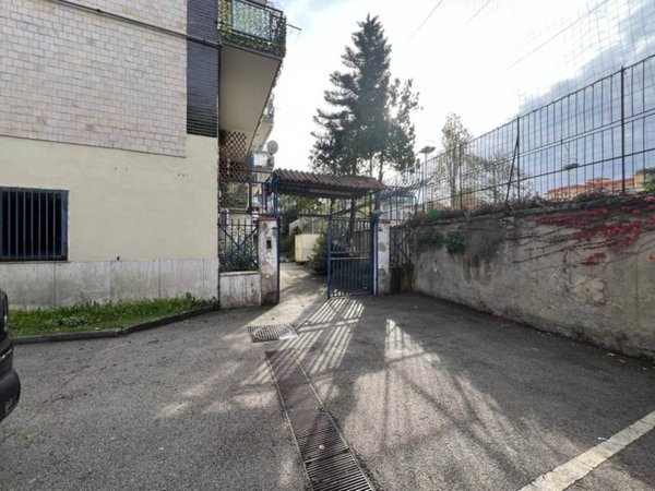 immagine annuncio 0 di 15
