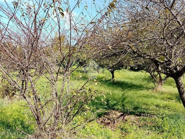 terreno agricolo in vendita a San Giorgio a Cremano