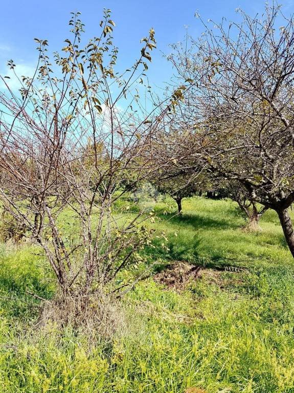 terreno agricolo in vendita a San Giorgio a Cremano