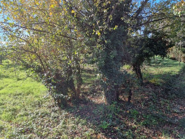 terreno agricolo in vendita a San Giorgio a Cremano